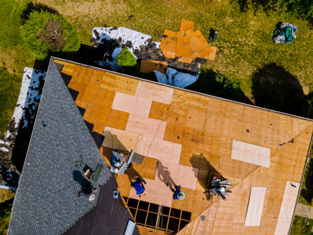 Best Gutter Installation and Roofing  in Swainsboro, GA