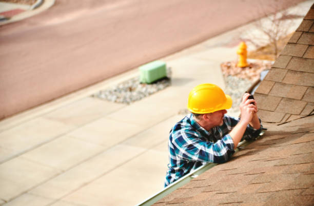 Best Roof Gutter Cleaning  in Swainsboro, GA